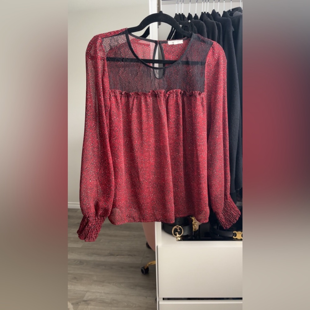 Pleione Sheer Blouse
